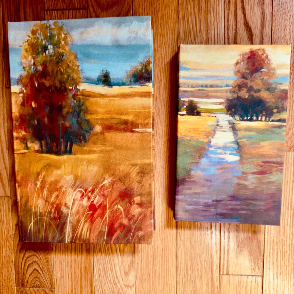 Storage Autumn Landscape Faux book